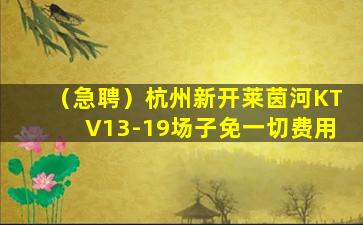 怀化酒吧招聘